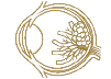 اورام شبكية العين — د. حسام الباز